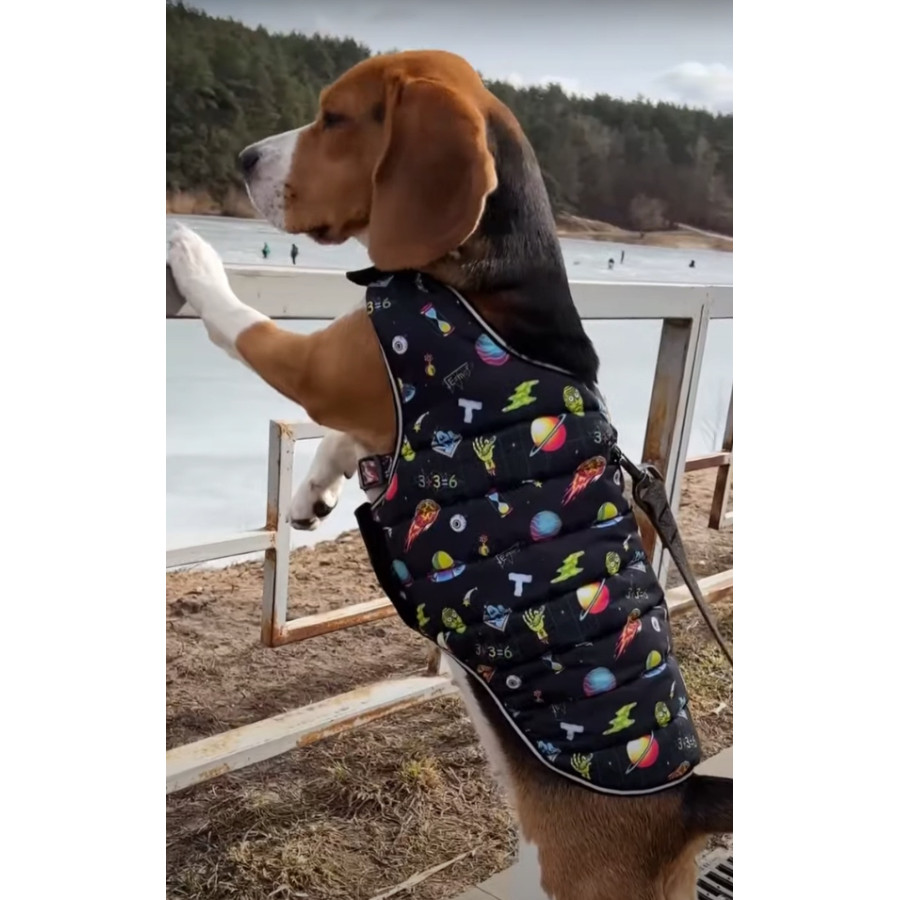 Курточка-накидка для собак WAUDOG Clothes, малюнок "Рік та Морті 2"