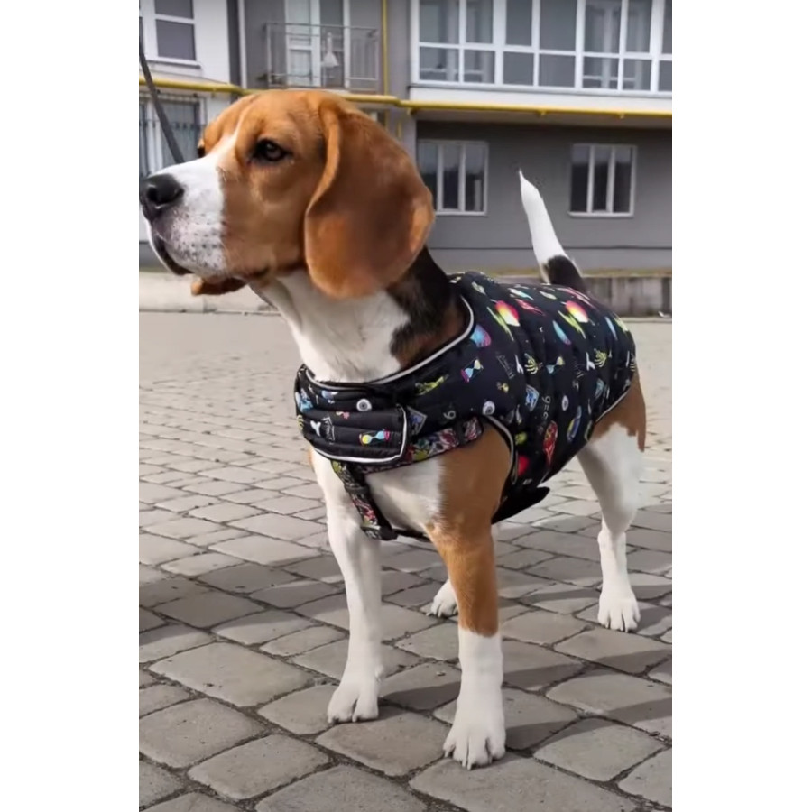 Курточка-накидка для собак WAUDOG Clothes, рисунок "Рик и Морти 2"