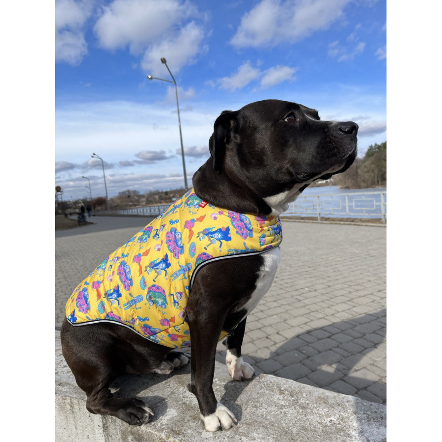 Курточка-накидка для собак WAUDOG Clothes, малюнок "Рік та Морті 3"