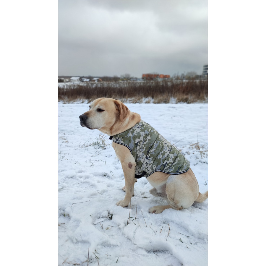 Курточка-накидка для собак WAUDOG Clothes, рисунок "Милитари"