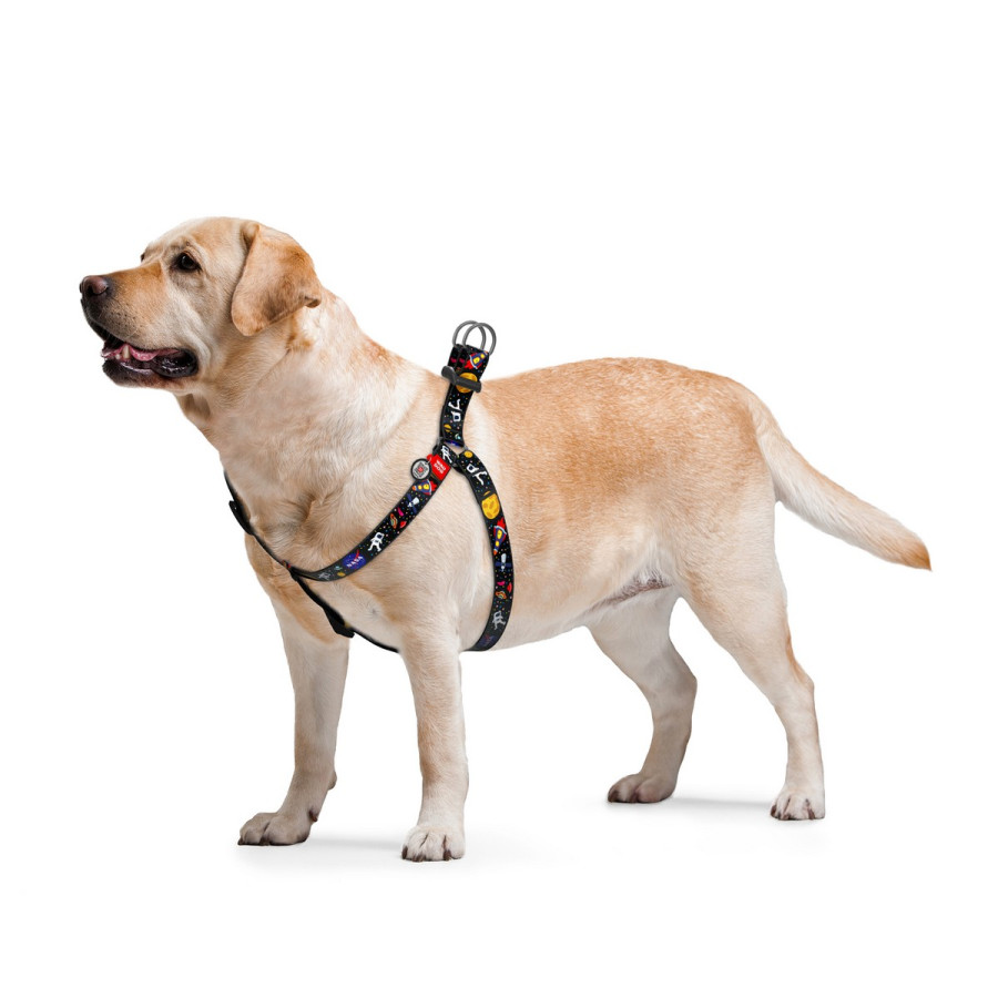 WAUDOG Nylon dog harness with QR-passport, QR tag, pattern "NASA"