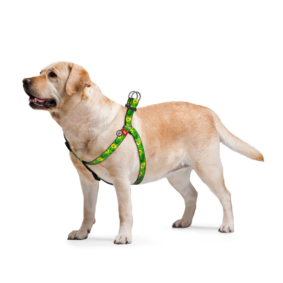 WAUDOG Nylon dog harness with QR-passport, QR tag, pattern "Avocado"