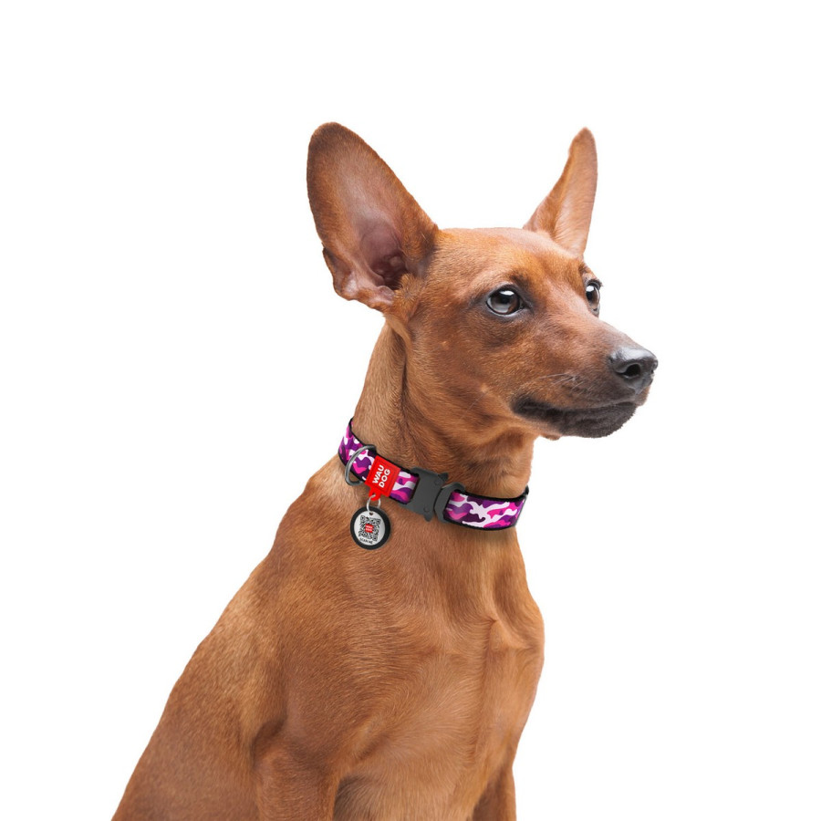 Нашийник для собак WAUDOG Nylon з QR паспортом, малюнок "Рожевий камо", металева пряжка-фастекс з площадкою для гравіювання