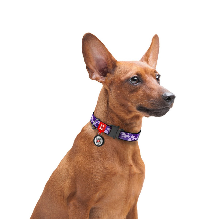 Нашийник для собак WAUDOG Nylon з QR паспортом, малюнок "Фіолетовий камо", металева пряжка-фастекс з площадкою для гравіювання