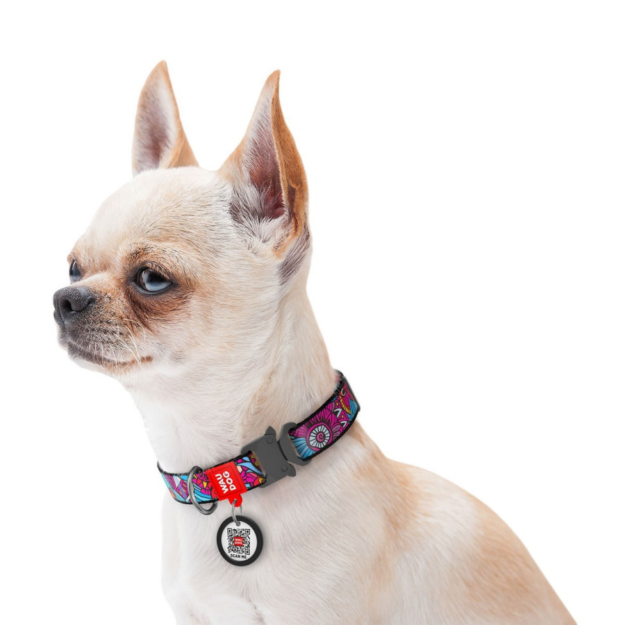 WAUDOG Nylon dog collar with QR-passport, "Summer", metal fastex buckle with an area for engraving and QR tag