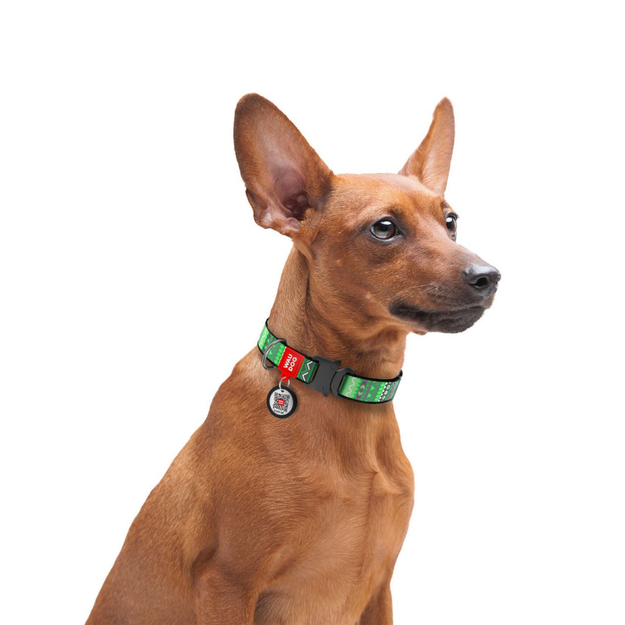 Нашийник для собак WAUDOG Nylon з QR паспортом, малюнок "Етно зелений", металева пряжка-фастекс з площадкою для гравіювання