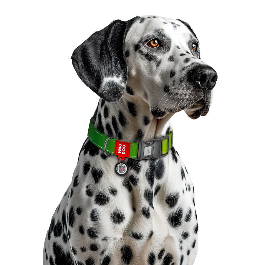 Нашийник для собак нейлоновий WAUDOG Nylon Mono з QR паспортом, світловідбивний, пластиковий фастекс, салатовий
