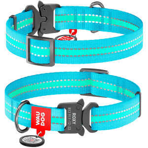 WAUDOG Nylon with QR tag, light-accumulative (glows in the dark), metal fastex buckle, blue
