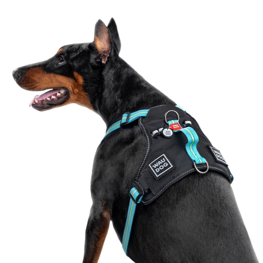 Шлея для собак WAUDOG Nylon с QR паспортом, безопасная, металлическая пряжка-фастекс, голубая