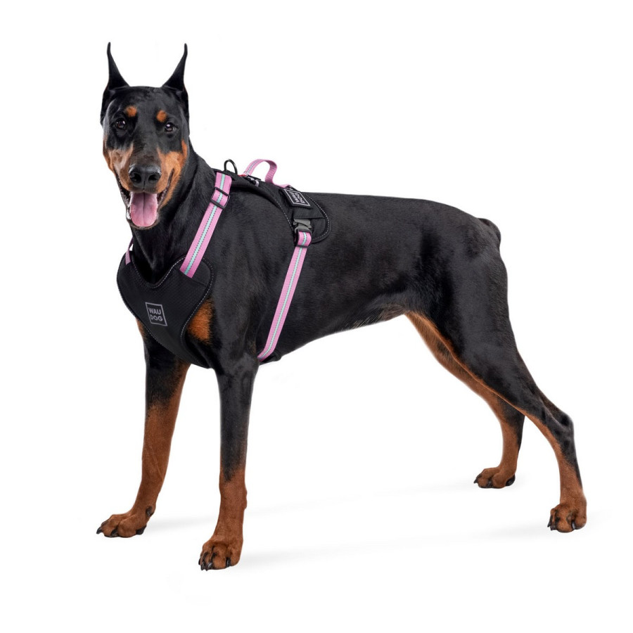 Шлея для собак WAUDOG Nylon с QR паспортом, безопасная, металлическая пряжка-фастекс, розовая