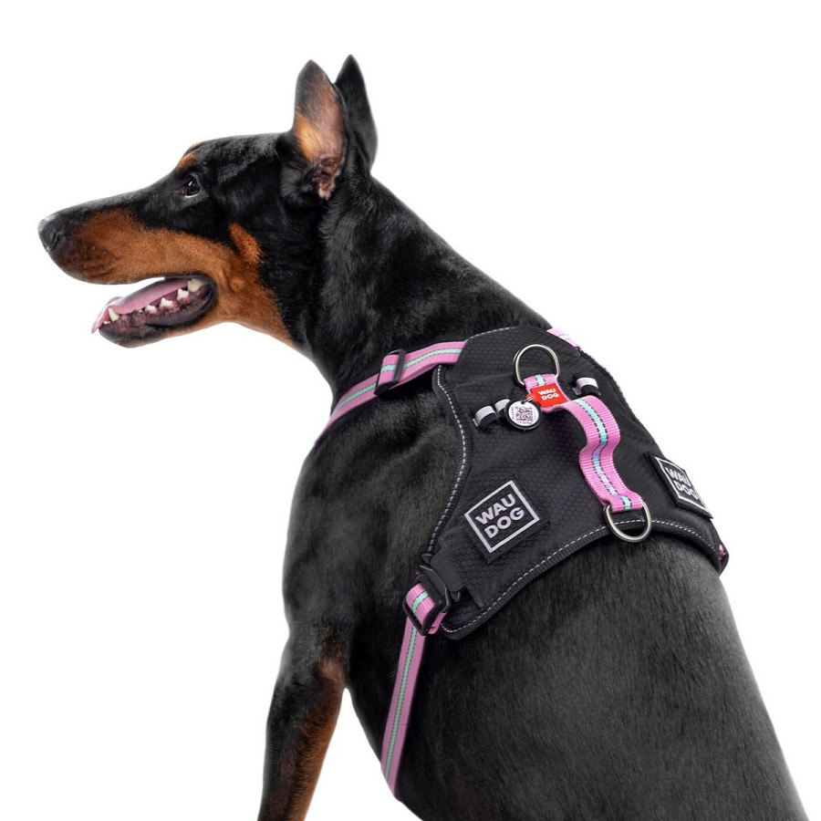 Шлея для собак WAUDOG Nylon с QR паспортом, безопасная, металлическая пряжка-фастекс, розовая