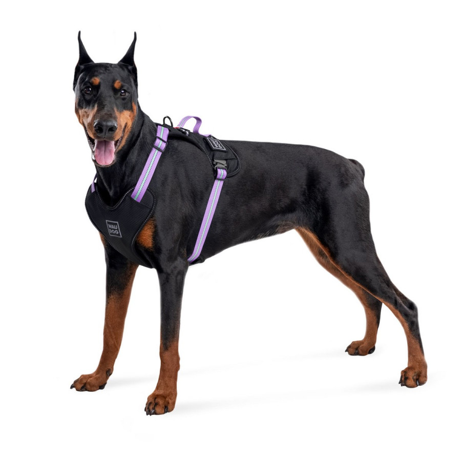 WAUDOG Nylon dog harness with QR-passport, QR tag, safe, metal fastex buckle, purple