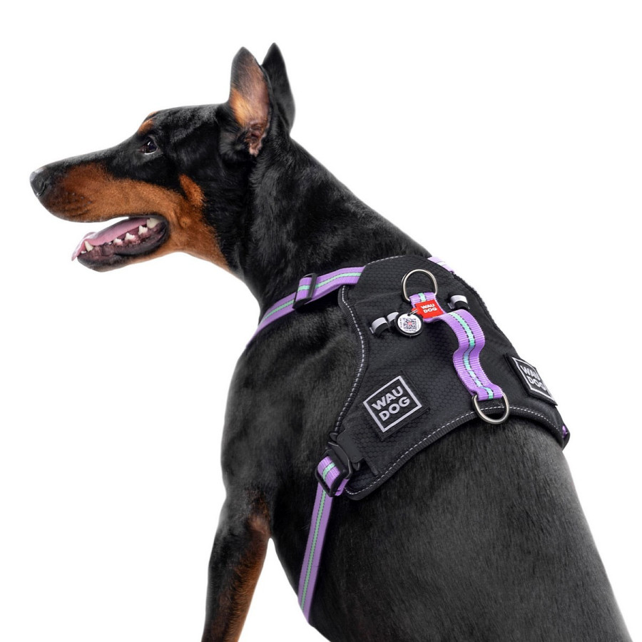 Шлея для собак WAUDOG Nylon с QR паспортом, безопасная, металлическая пряжка-фастекс, фиолетовая