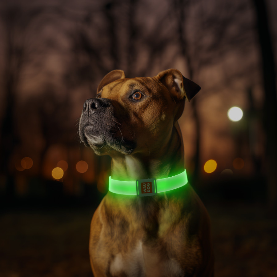 Нашийник для собак з підсвічуванням WAUDOG LED, магнітна застібка