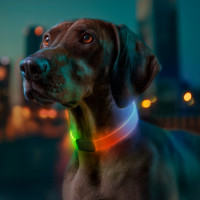 Нашийник для собак з підсвічуванням WAUDOG LED, RGB, Type-C, регульований