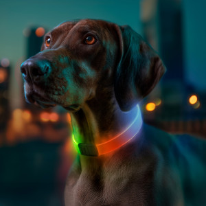 Ошейник для собак с подсветкой WAUDOG LED, RGB, Type-C, регулируемый