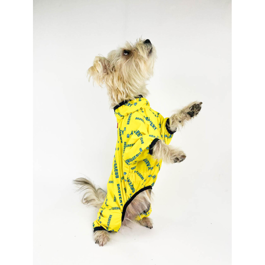 Вітровка для собак WAUDOG Clothes, малюнок "Сміливість"