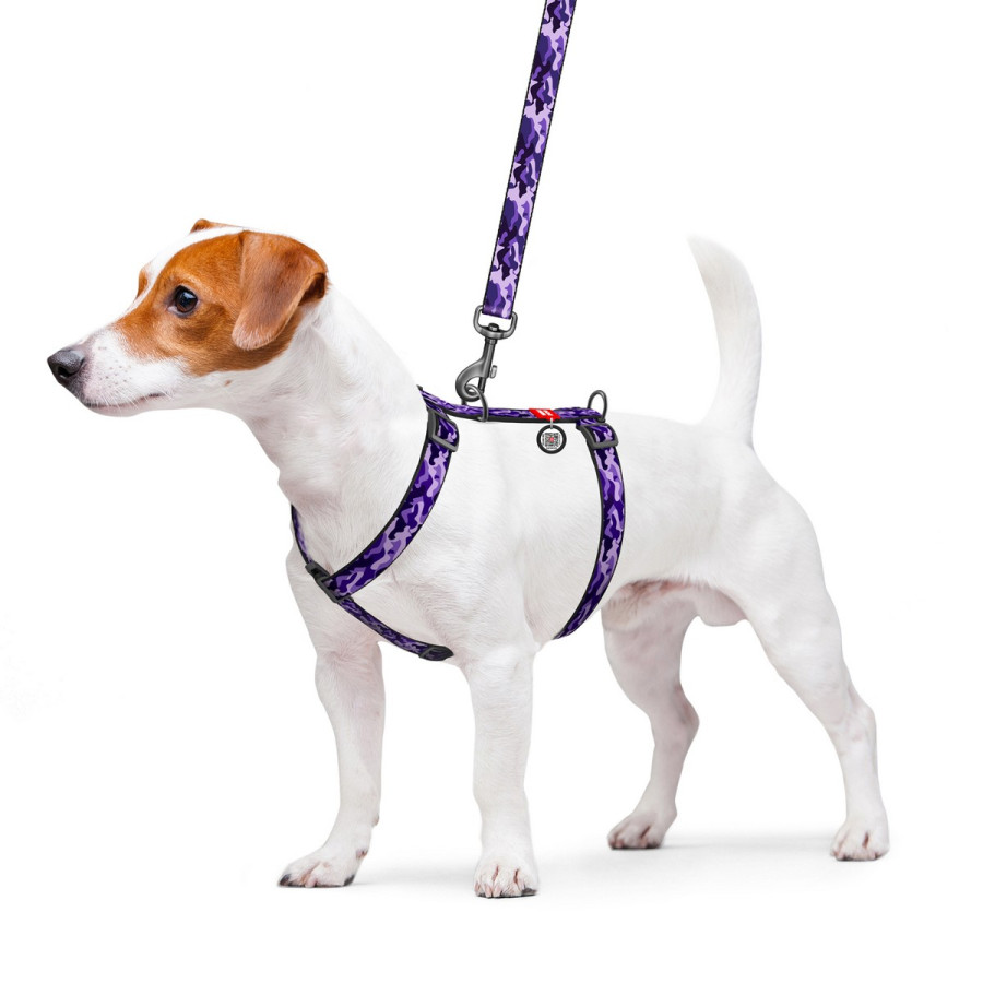 Шлея для собак анатомічна H-образна WAUDOG Nylon з QR паспортом, малюнок "Фіолетовий камо"