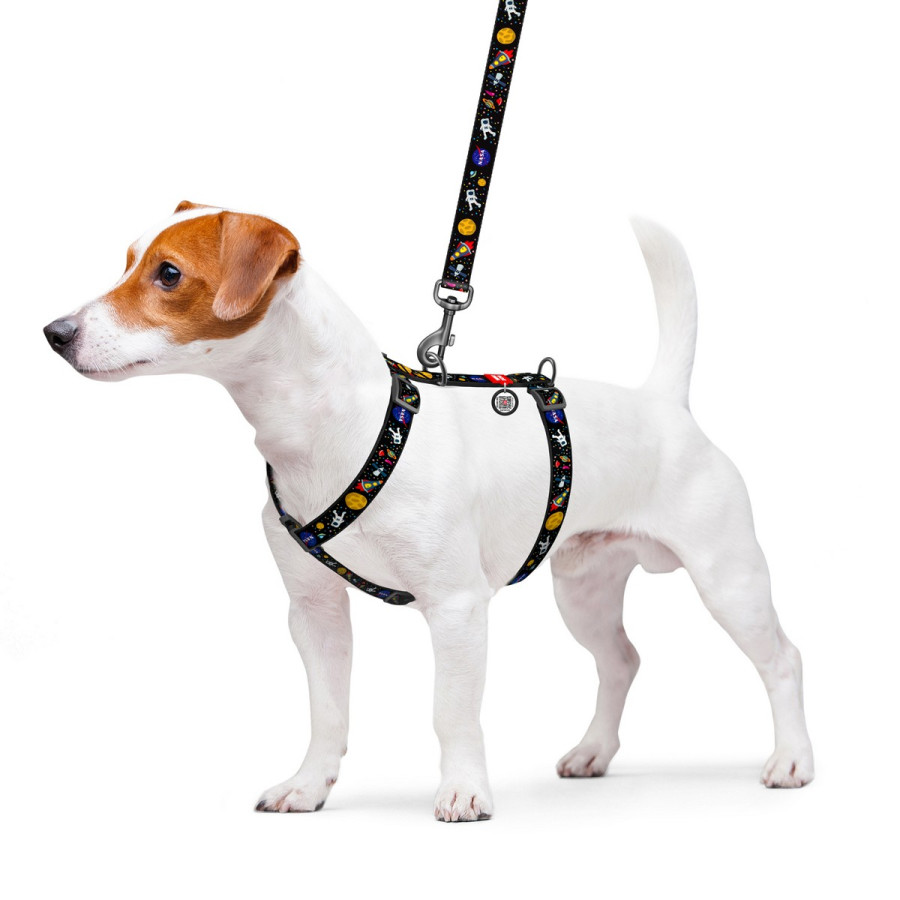 WAUDOG Nylon dog H-harness with QR-passport, "NASA" design
