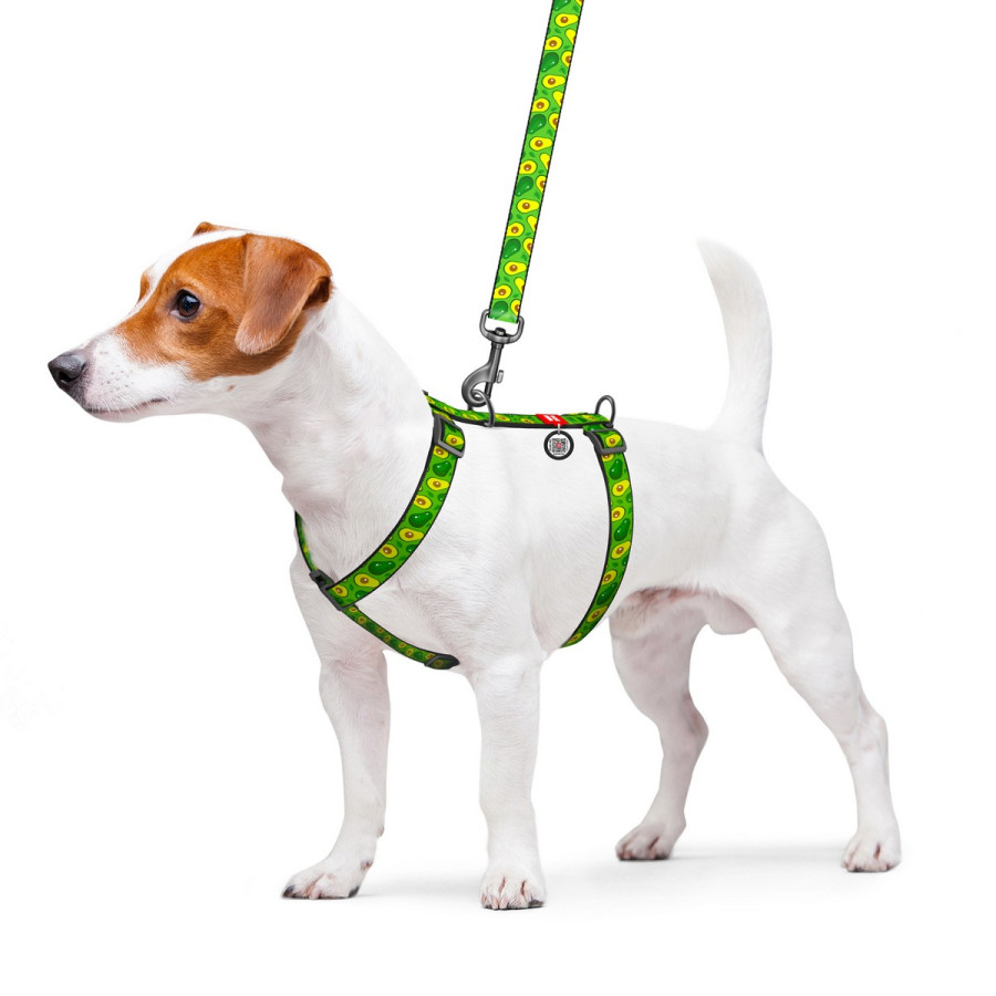 WAUDOG Nylon dog H-harness with QR-passport, " Avocado" design