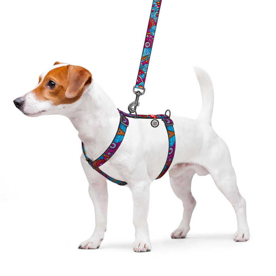 WAUDOG Nylon dog H-harness with QR-passport "Summer" design