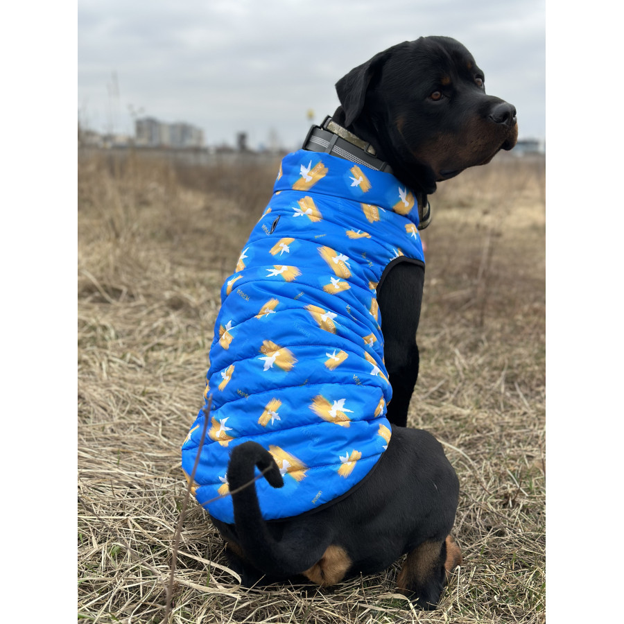 Курточка для собак WAUDOG Clothes, рисунок "Флаг"