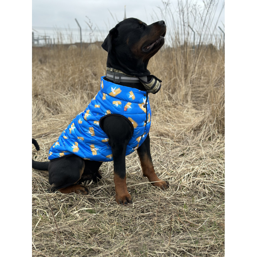 Курточка для собак WAUDOG Clothes, малюнок "Прапор"