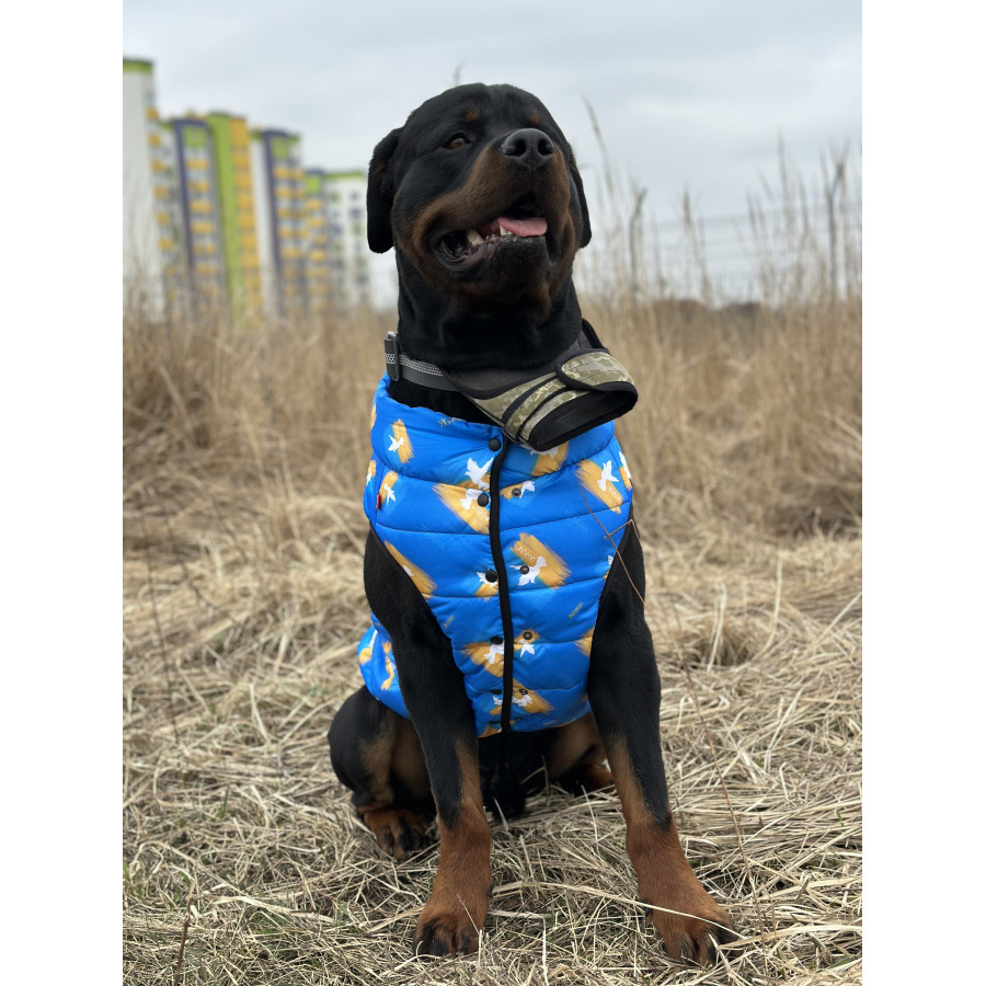 Курточка для собак WAUDOG Clothes, малюнок "Прапор"