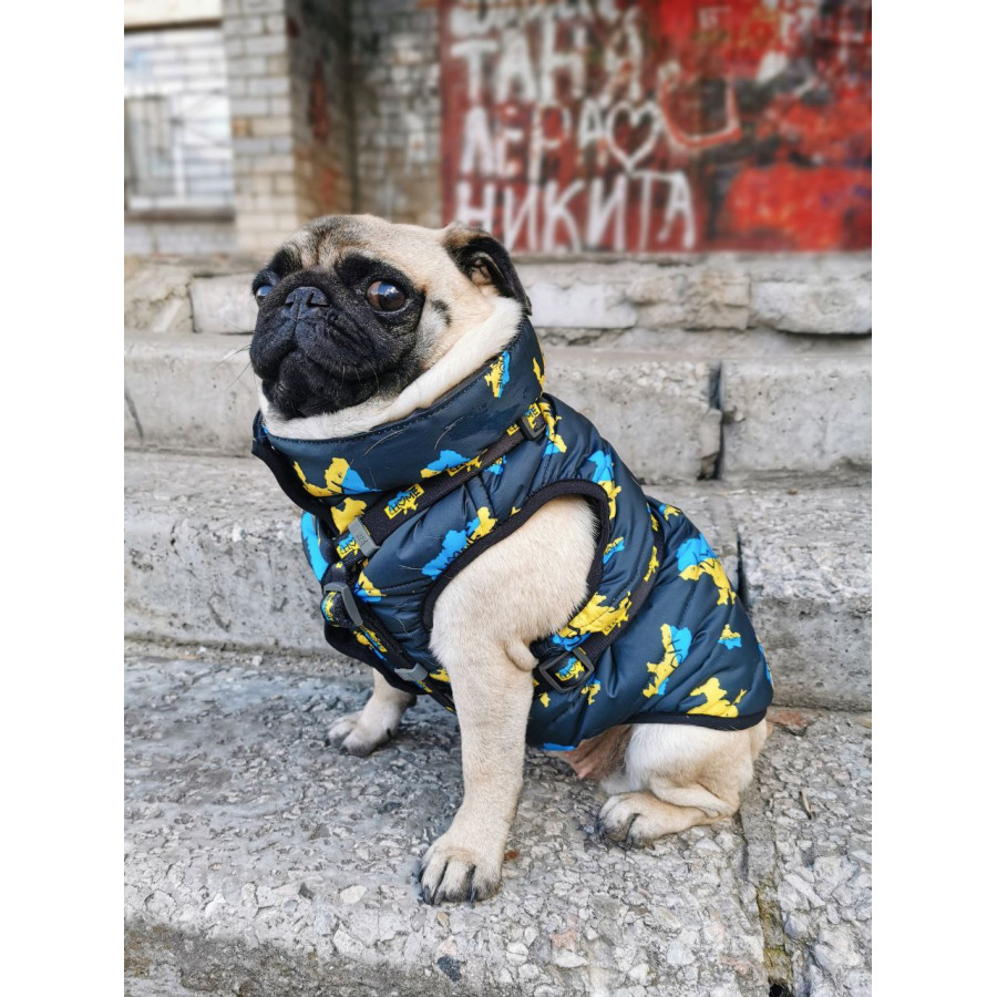 Курточка для собак WAUDOG Clothes, малюнок "Дім"