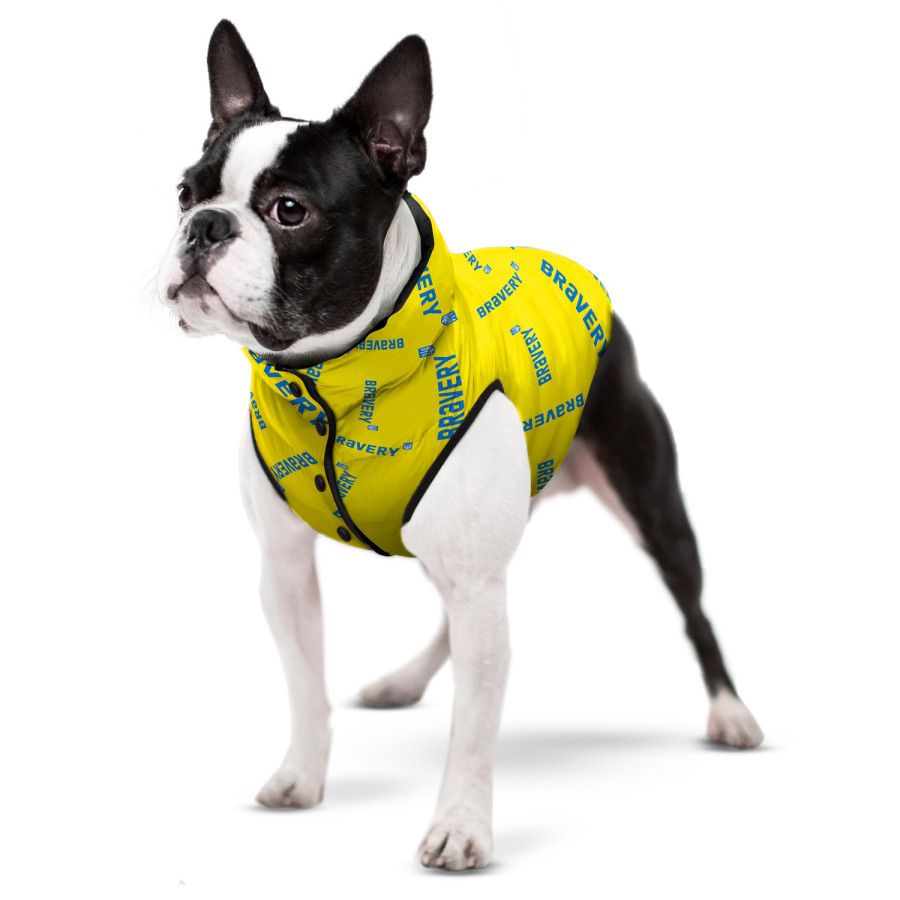 Курточка для собак WAUDOG Clothes, рисунок "Смелость"