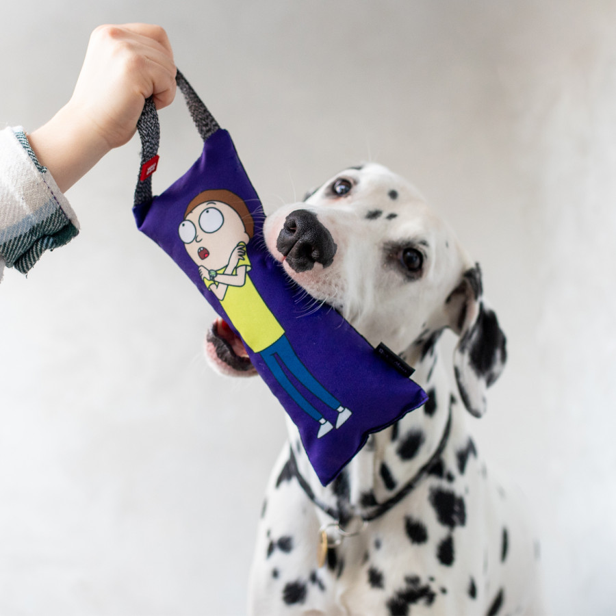 Іграшка для собак WAUDOG Fun з пискавкою, малюнок "Рік та Морті 3"