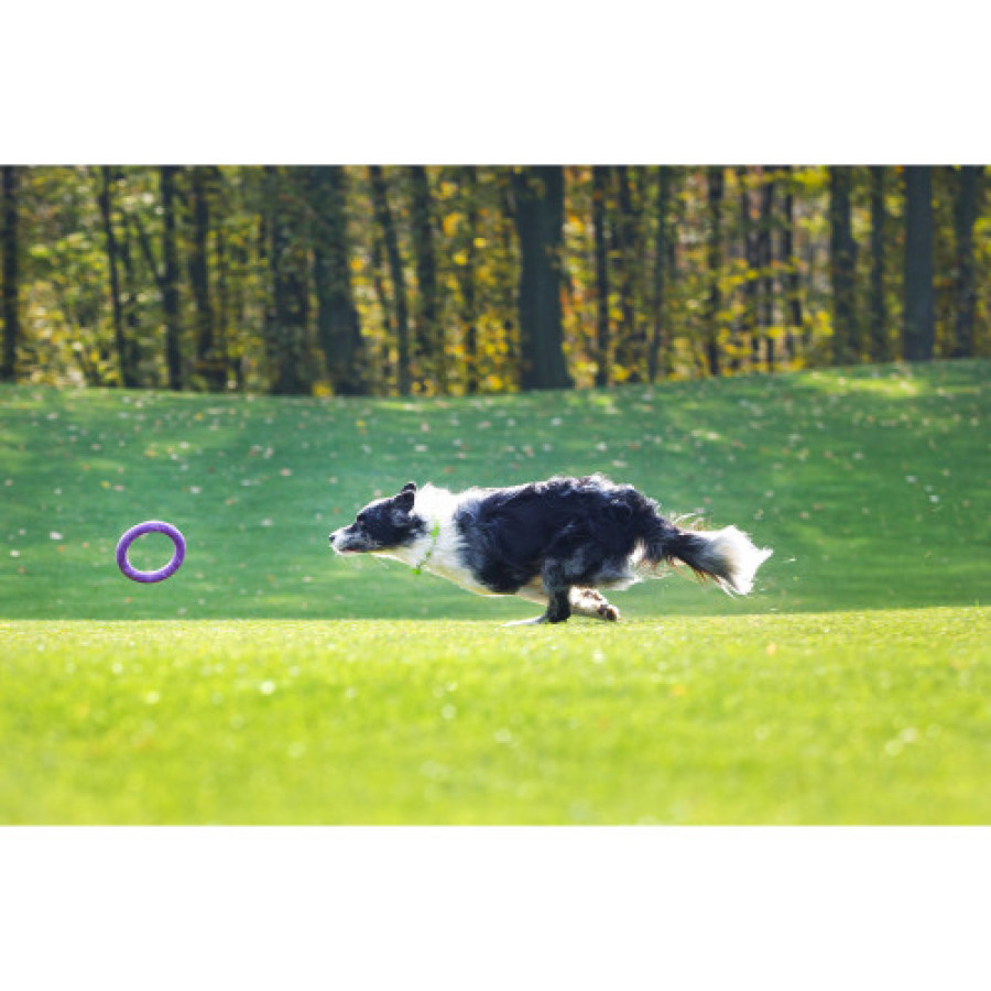 PULLER midi (ПУЛЛЕР міді) Ø20 см - тренувальний снаряд для собак середніх і дрібних порід
