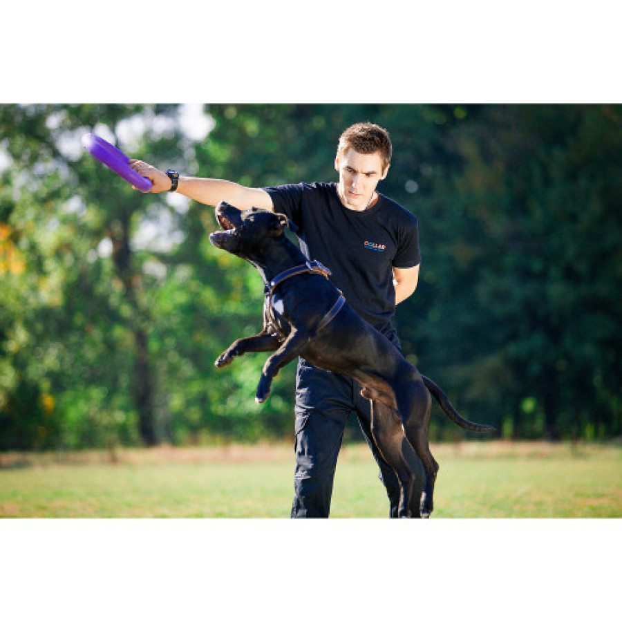 PULLER Standard (ПУЛЛЕР Стандарт) Ø28 см - тренувальний снаряд для середніх і великих порід собак