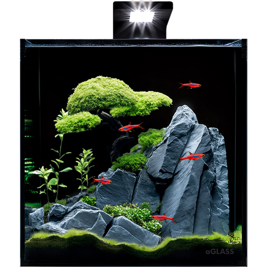 Акваріумний набір BlackCube 30 літрів, з чорною задньою стінкою, 31х31х31 см, скло 4 мм