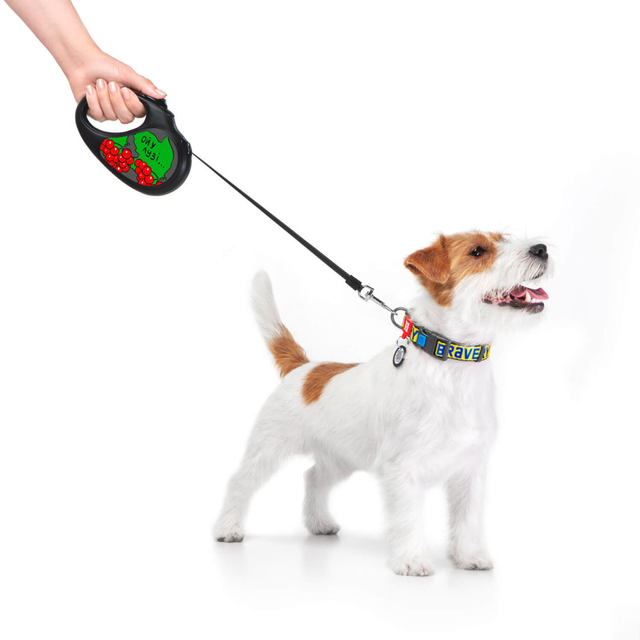 Поводок-рулетка для собак WAUDOG R-leash, рисунок "Калина"