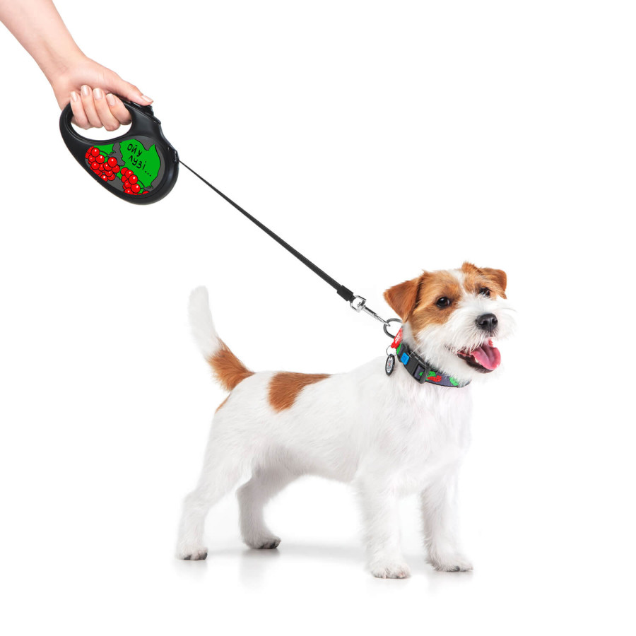 Поводок-рулетка для собак WAUDOG R-leash, рисунок "Калина"