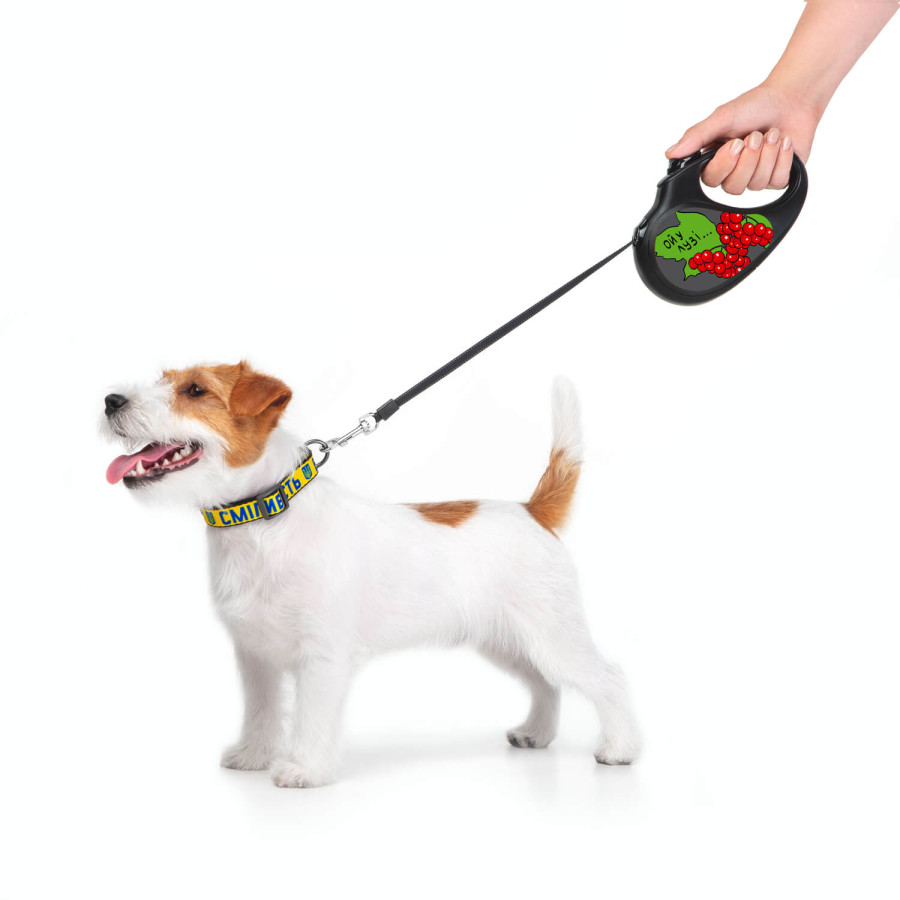Повідець-рулетка для собак WAUDOG R-leash, малюнок "Калина"