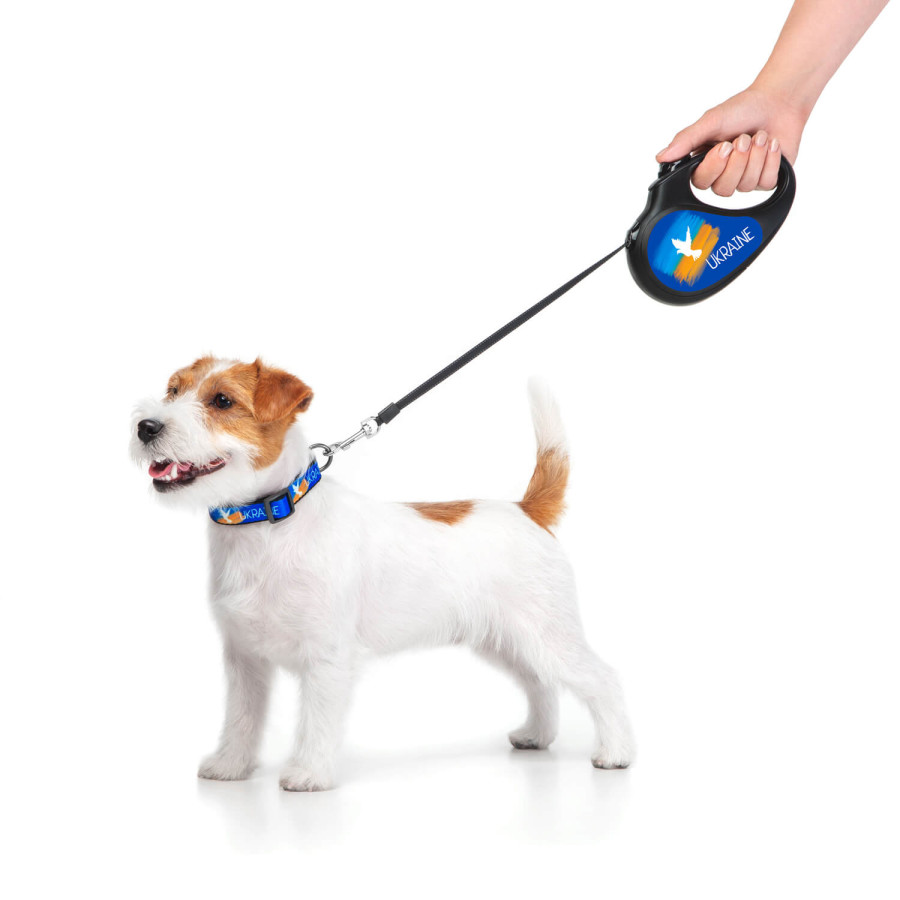 Поводок-рулетка для собак WAUDOG R-leash, рисунок "Флаг"
