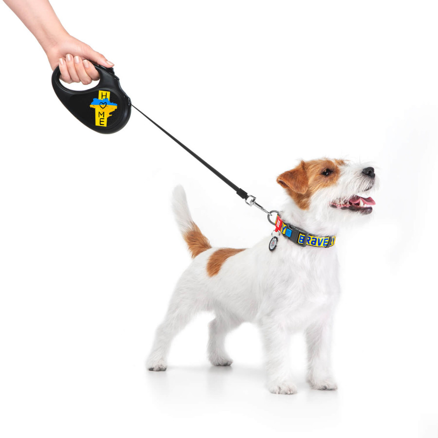 Повідець-рулетка для собак WAUDOG R-leash, малюнок "Дім"