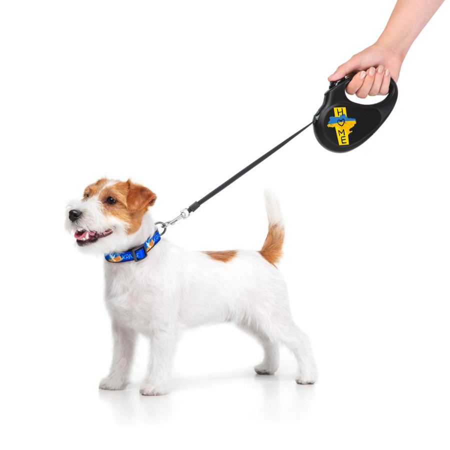 Повідець-рулетка для собак WAUDOG R-leash, малюнок "Дім"