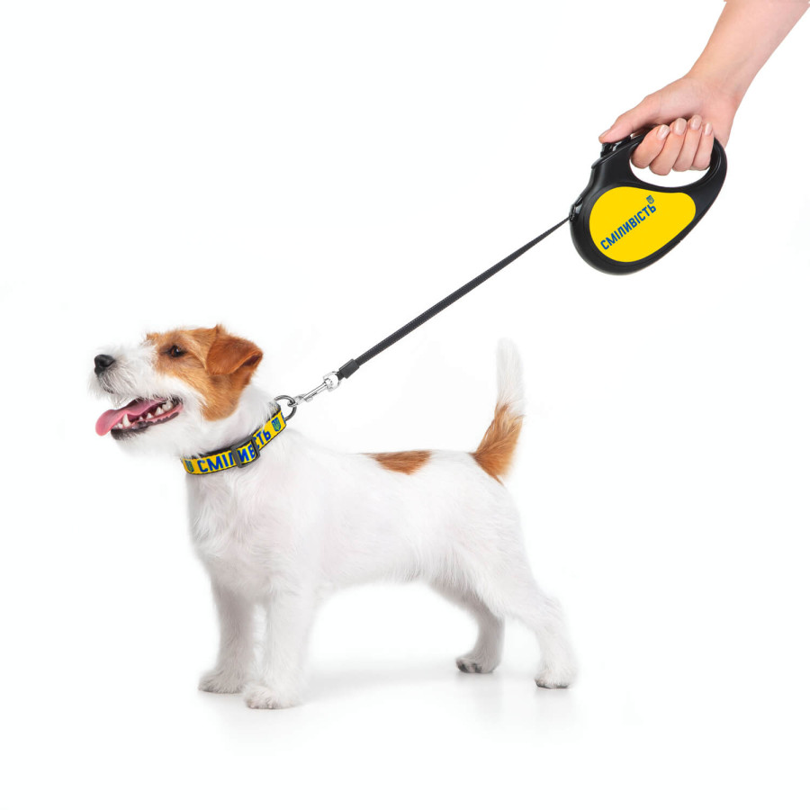 Повідець-рулетка для собак WAUDOG R-leash, малюнок "Сміливість"