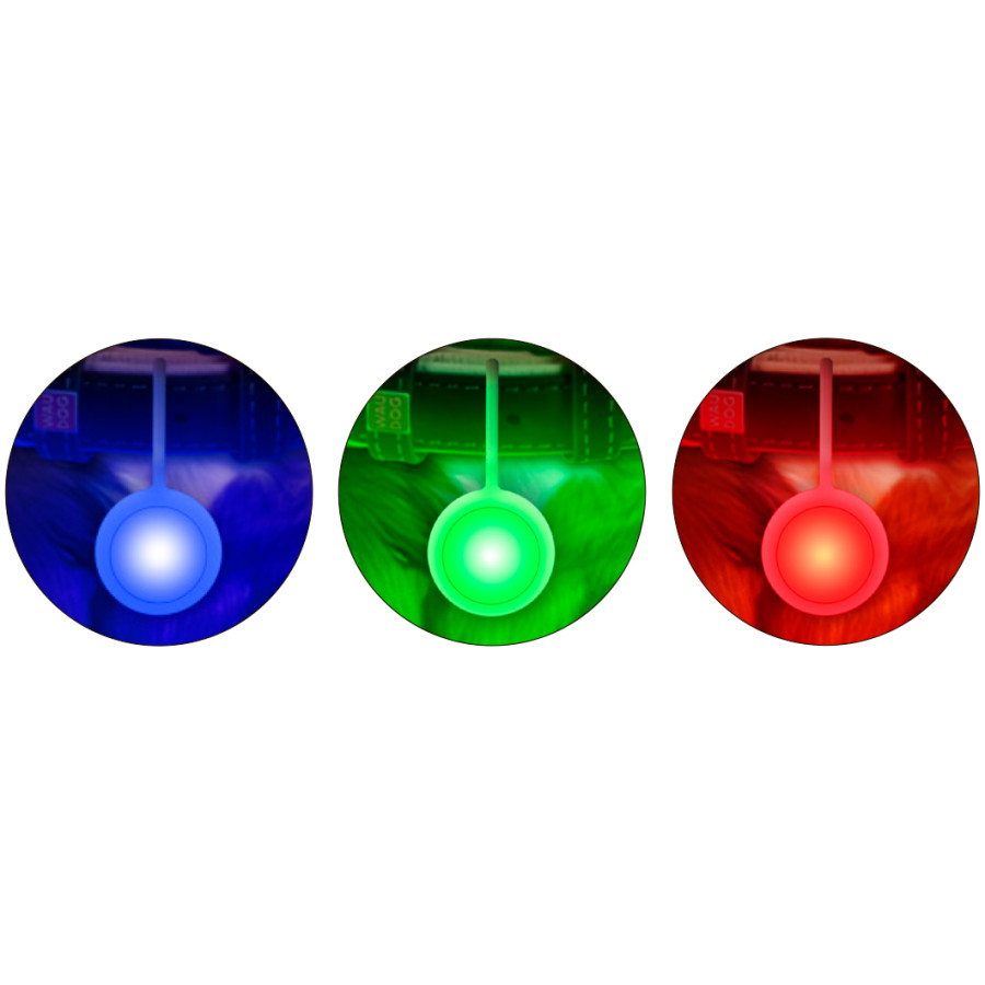 RGB фонарик WAUDOG LED DOG LIGHT для собак и котов