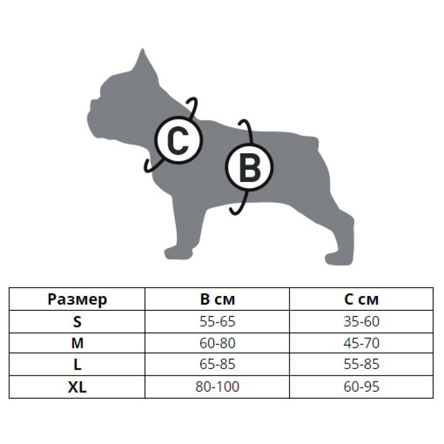 Шлея для собак WAUDOG Nylon з QR паспортом, безпечна, металева пряжка-фастекс, блакитна